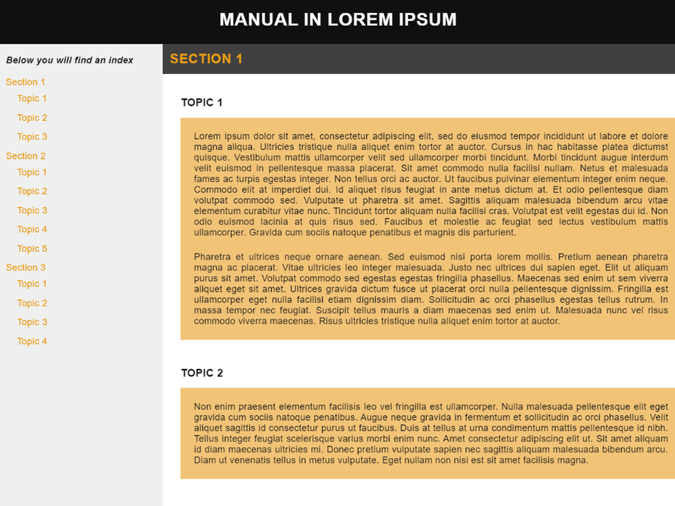 A webpage display of an online manual written in the placeholder text of Lorem Ipsum