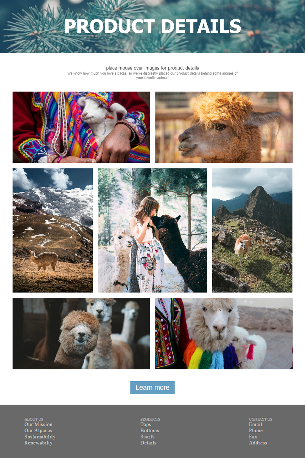 Cover art for For the Love of Alpacas | Product Details Page